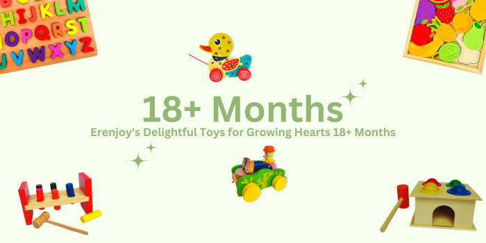 Shop Premium Wooden Toys and Educational Tools - Enhance Learning Today!