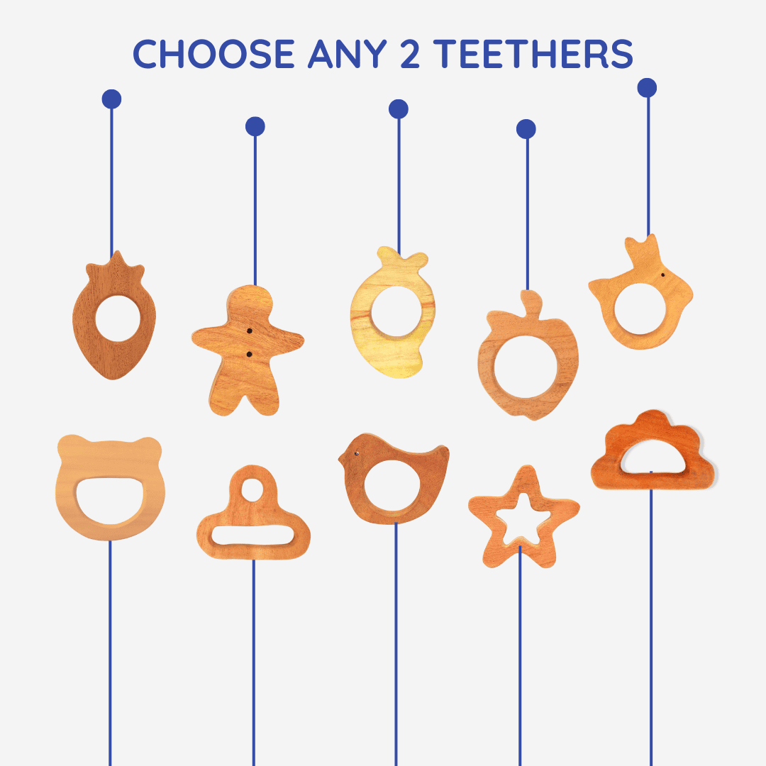 Toys Under 300 Rupees Build Your Own Toy Box Neem Wood Teether