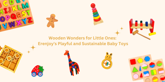 Explore the Magic of Play with Erenjoy's Montessori Indian Toys