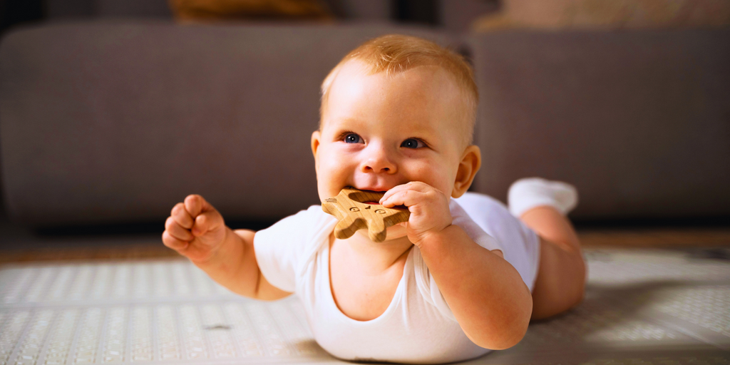 The Benefits of Neem Teether for Baby's Oral Health