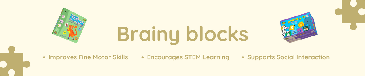 Blocky Rbrain Brainy Blocks: Educational Toys for Kids Aged 0-5 | Erenjoy