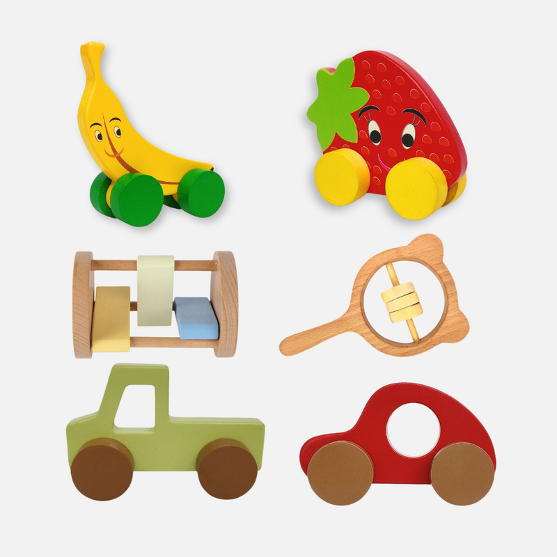 Wooden Fruit Car and Push-Pull Toy Gift Set