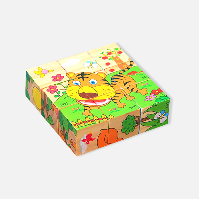 Dsseng 6 in 1 Wooden Block Puzzle Animal Cube Puzzle for 2 3 4+